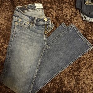 Aeropostale Chelsea bootcut